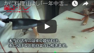 かに料理 山よし「一年中活ガニを食べられる店」 【日本の旅】