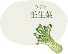 壬生菜（みぶな）