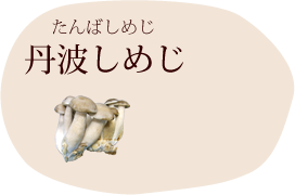 丹波しめじ（たんばしめじ）