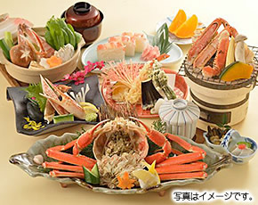 柴山イメージ