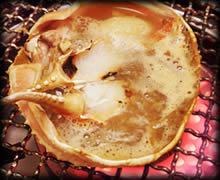 甲羅酒イメージ