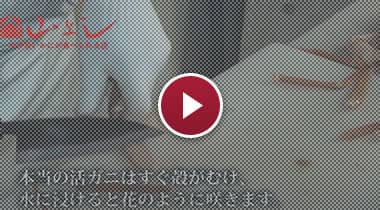 活がに調理シーン